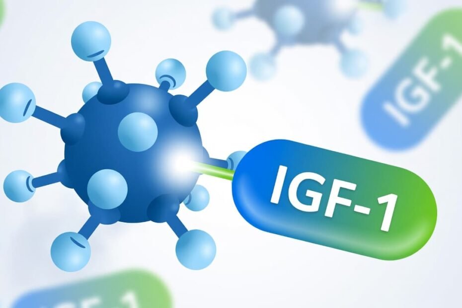 igf 1